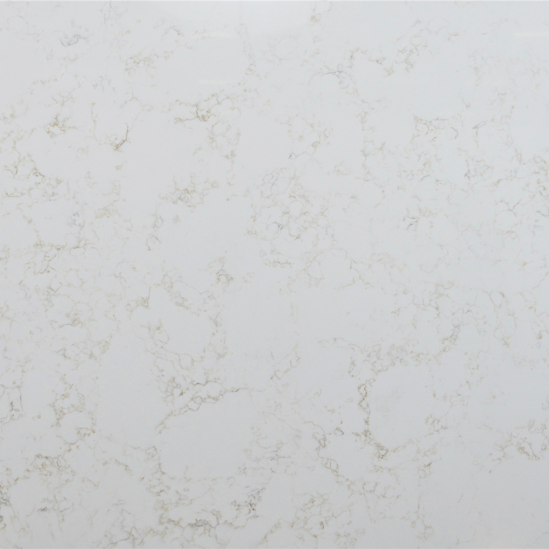 Bianco Verona Quartz Counterops | Quality Granite & Marble Wichita